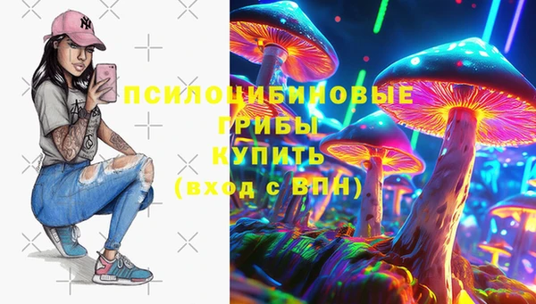 крисы Белокуриха
