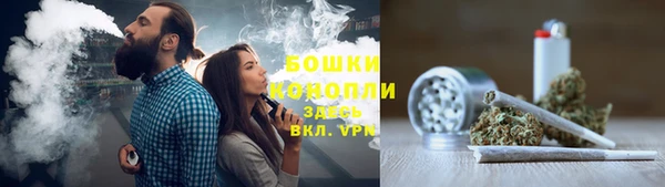 крисы Белокуриха