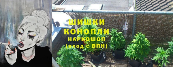 крисы Белокуриха