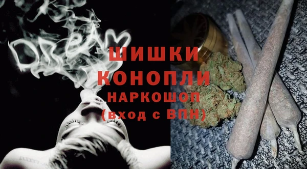 крисы Белокуриха