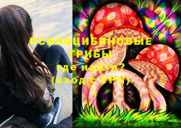 крисы Белокуриха