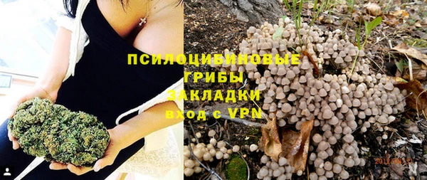 a pvp Белоозёрский