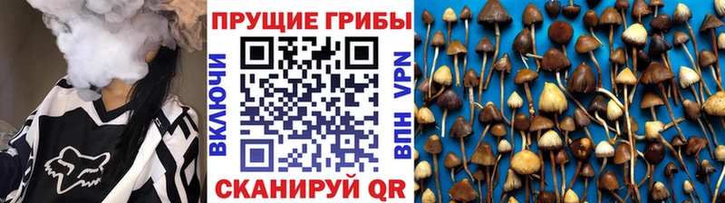 гидра онион  Заволжье  Галлюциногенные грибы Psilocybine cubensis  мориарти состав  где можно купить  